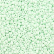 Miyuki seed beads 11/0 - Opaque light mint 11-3318